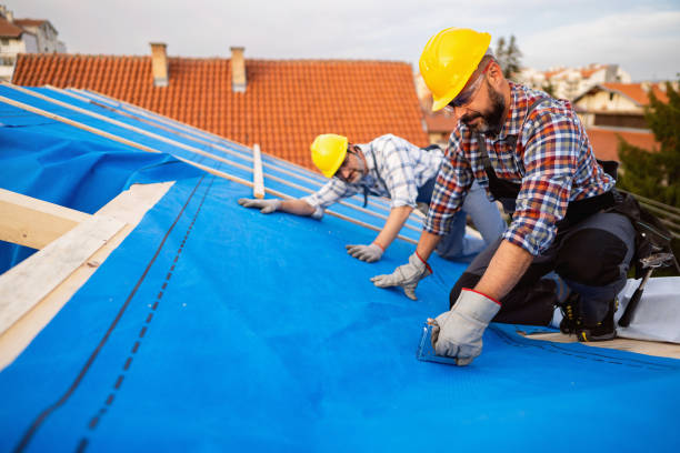 Best Green or Eco-Friendly Roofing Solutions  in Crystal Lake, FL