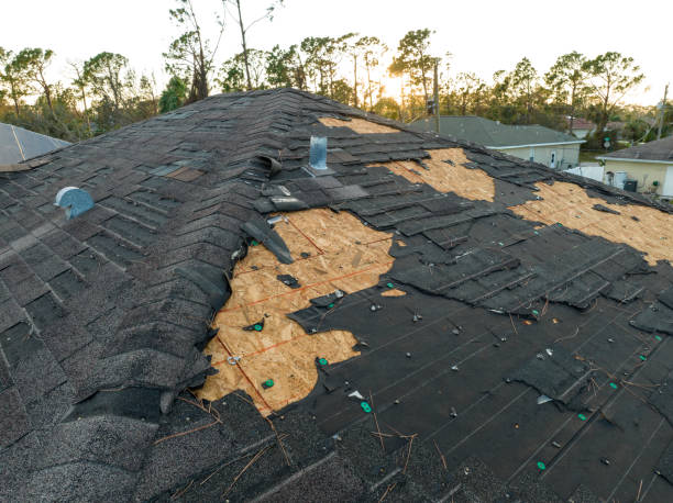 Best Roof Coating and Sealing  in Crystal Lake, FL