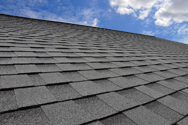 Best Roof Maintenance and Cleaning  in Crystal Lake, FL